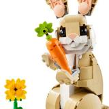Set LEGO 31162
